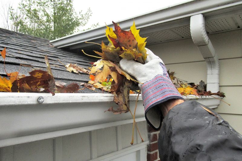 Clogged Gutters with Debris
