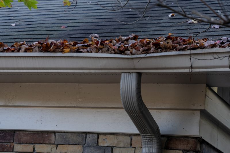 Signs You Need Gutter Service
