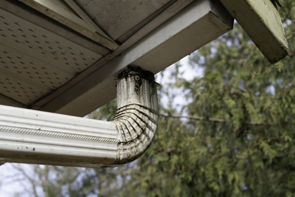 Cost of Roof Drain Replacement in Belleville