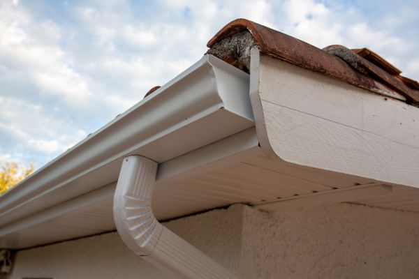 Cost of K Style Gutter Replacement in Belleville