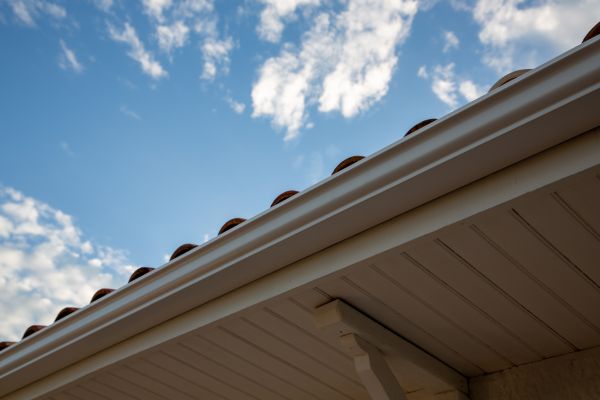 Cost of K Style Gutter Installation in Belleville